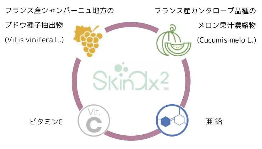 抗酸化素材SkinAx2 ™って？